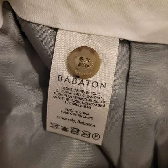 Aritzia Babaton The Next Pants Gray Pleated Wool Cashmere Blend Trousers Size 6 - Picture 7 of 11